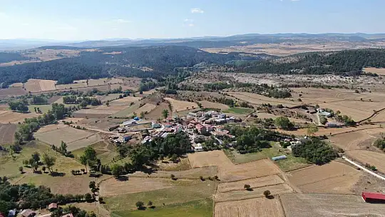 Korona virüs sebebiyle köyüne dönüp kaz çiftliği kurdu, şimdi Kars'a bile kaz gönderiyor