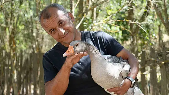 Korona virüs sebebiyle köyüne dönüp kaz çiftliği kurdu, şimdi Kars'a bile kaz gönderiyor