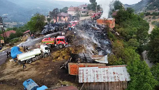 Köy alevlere teslim oldu: Felaketin izleri gün ağarınca ortaya çıktı