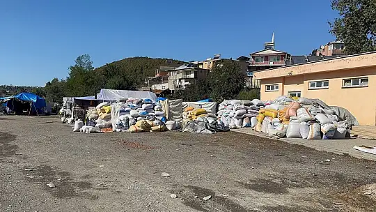 Köy köy dolaşıp boş fındık avına çıkıyorlar