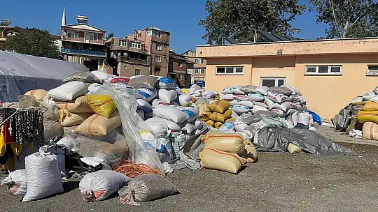 Köy köy dolaşıp boş fındık avına çıkıyorlar