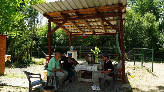 Köye inen ayı girdiği bahçede vatandaşlara korku dolu anlar yaşattı