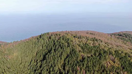 Köylülerin yaptığı teras manzarasıyla ziyaretçileri mest ediyor