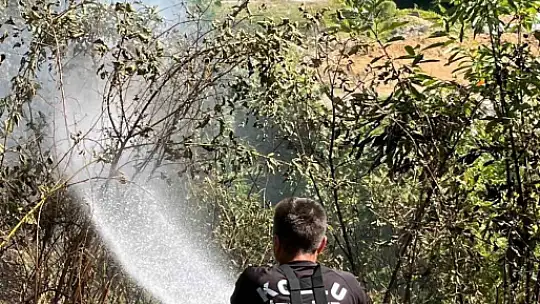 Kozlu'da anız yangını büyümeden söndürüldü