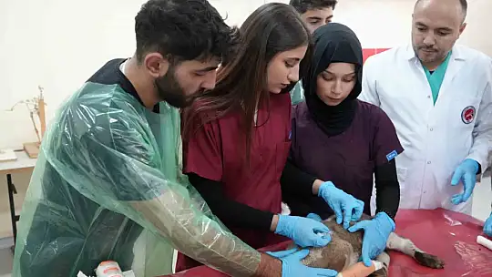 Küçükbaş hayvancılığa akademik dokunuş: 13 koyun 24 süt kuzusu doğurdu