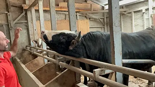 Kurban bayramı öncesi haraketlilik sürüyor