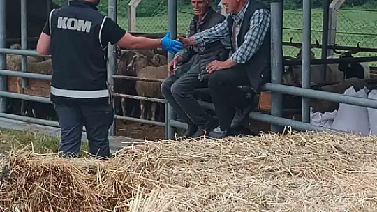 Kurban pazarında sahte para uyarısı