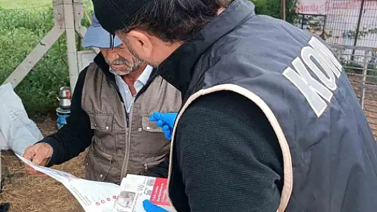 Kurban pazarında sahte para uyarısı