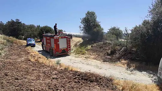 Kuru otlar alev aldı, köylüler toprakla söndürdü