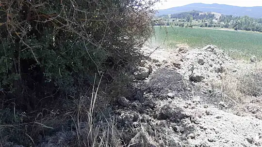Kuru otlar alev aldı, köylüler toprakla söndürdü