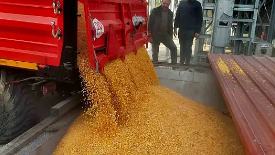 KUZKA'nın desteğiyle kurulan mısır kurutma tesisi ile çiftçiler ürünlerini değerinde satabilecek