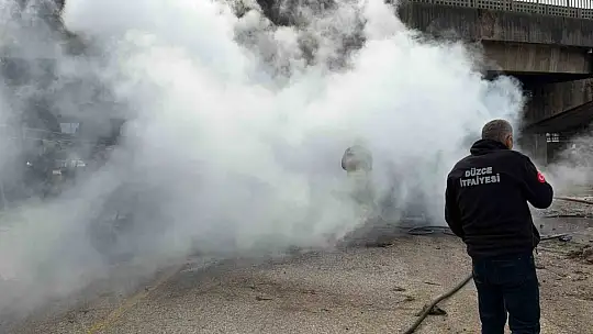 Lastiği patlatan tır köprüden uçarak alev topuna döndü