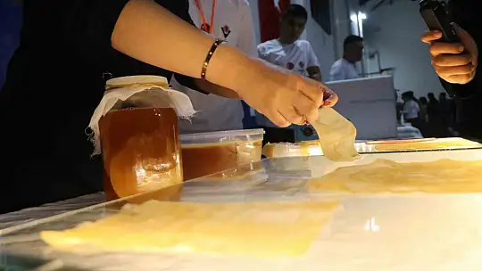 Liselilerin kombucha mantarından elde ettiği biyomateryal yanık tedavisinde kullanılabilecek