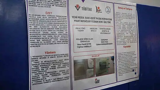 Liselilerin kombucha mantarından elde ettiği biyomateryal yanık tedavisinde kullanılabilecek