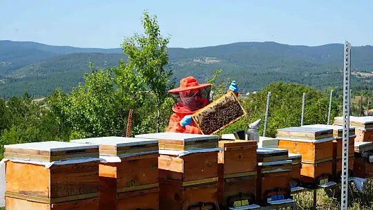 Merakı kadın girişimcinin mesleği oldu, ürettiği bal ve arı sütü için her hafta 900 kilometre yol kat ediyor