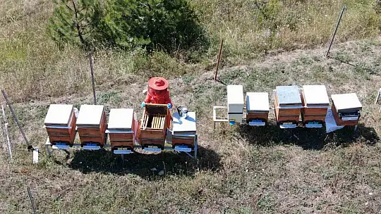 Merakı kadın girişimcinin mesleği oldu, ürettiği bal ve arı sütü için her hafta 900 kilometre yol kat ediyor
