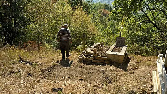 Mezarı kazıp tahtaları kıran ayı cenazeye ulaşamadan kaçtı