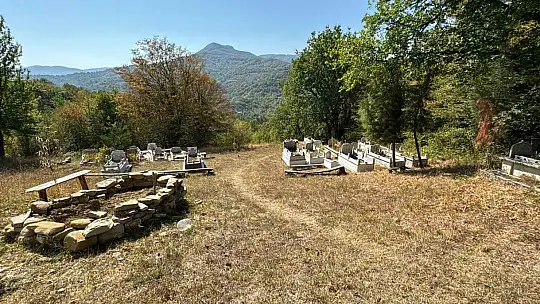 Mezarı kazıp tahtaları kıran ayı cenazeye ulaşamadan kaçtı
