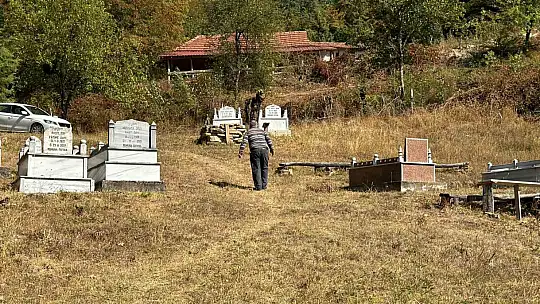 Mezarı kazıp tahtaları kıran ayı cenazeye ulaşamadan kaçtı
