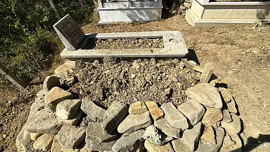 Mezarı kazıp tahtaları kıran ayı cenazeye ulaşamadan kaçtı