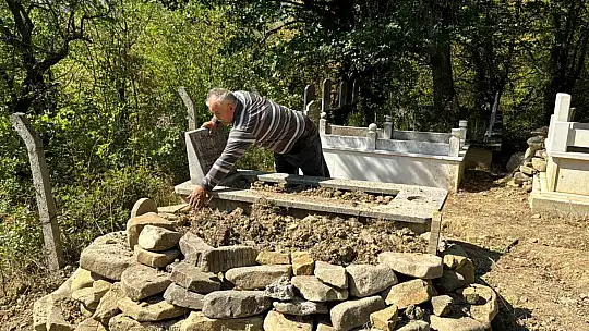 Mezarı kazıp tahtaları kıran ayı cenazeye ulaşamadan kaçtı