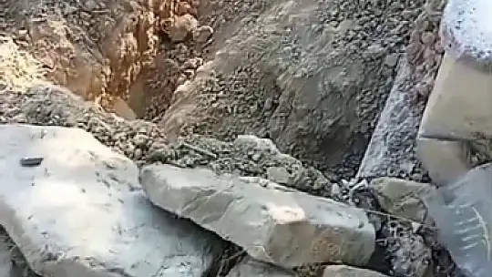 Mezarı kazıp tahtaları kıran ayı cenazeye ulaşamadan kaçtı