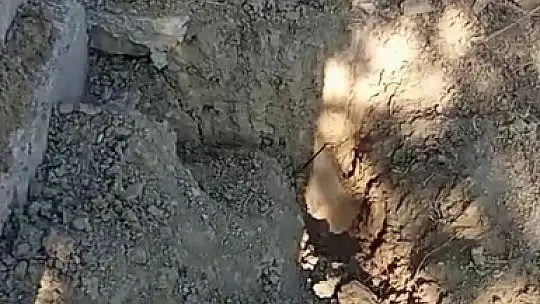 Mezarı kazıp tahtaları kıran ayı cenazeye ulaşamadan kaçtı