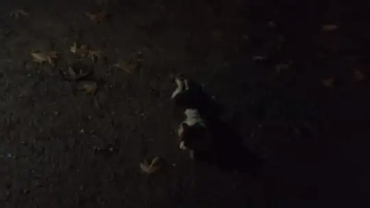 Minibüsün motoruna sıkışan kedi kurtarıldı