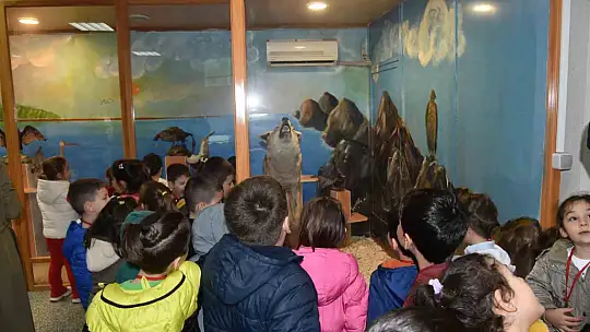Minik öğrenciler böcekleri dikkatle inceledi