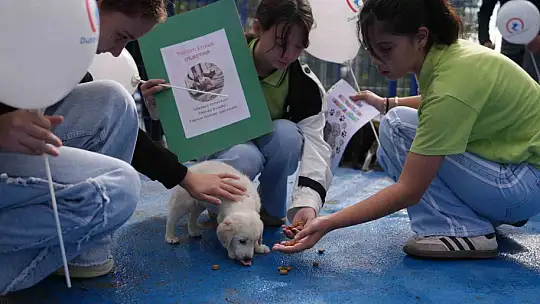 Minik öğrenciler hayvan bakım evini ziyaret etti