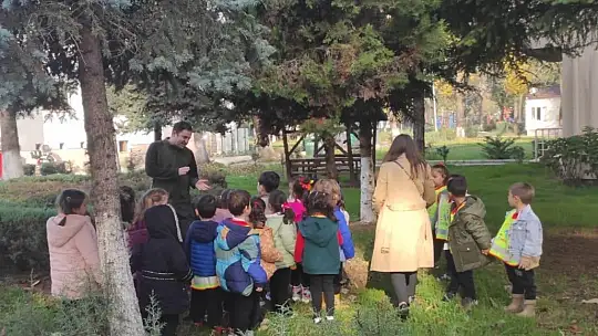 Minik öğrenciler orman ağaçları incelediler