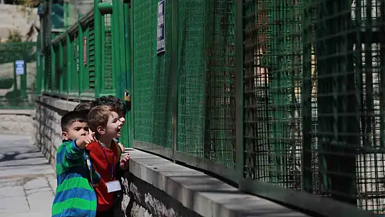 Minikler Evcil Hayvan Parkı'nı gezdi