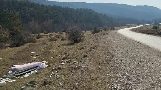 Mobilya eşyalarını doğaya attılar