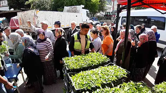 Mudurnu'da 108 bin fide dağıtıldı, çiftçiler akın etti