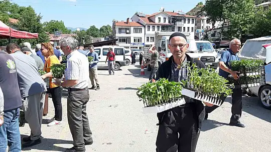 Mudurnu'da 108 bin fide dağıtıldı, çiftçiler akın etti