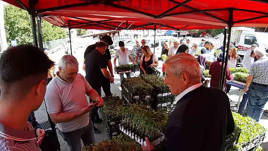 Mudurnu'da 108 bin fide dağıtıldı, çiftçiler akın etti