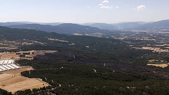 Mudurnu'daki orman yangınında 66 hektar alan kül oldu