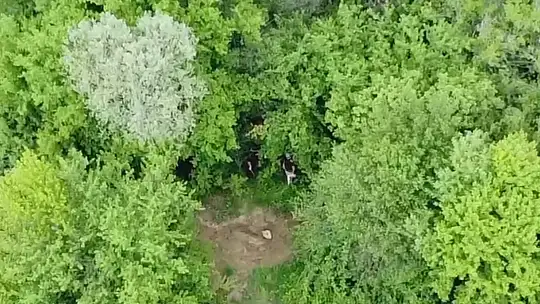 Muhtar, kaçak kazı şüphelilerini dronla görüntüledi