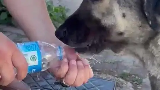 Muhtardan insanlık dersi