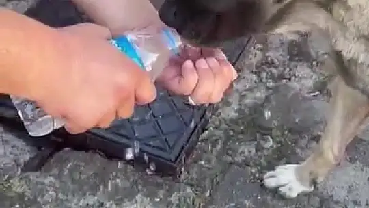 Muhtardan insanlık dersi