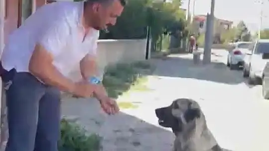 Muhtardan insanlık dersi