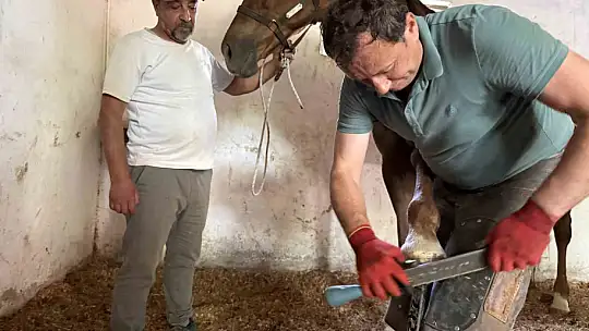 Nalbantlık yok olmasın diye direniyor