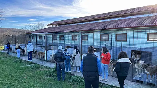 Öğrenciler, sokak hayvanları merkezini inceledi