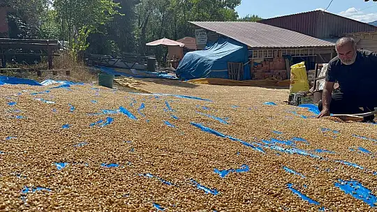 On iki bin yıllık siyezin hasadını tamamlayan çiftçilerin bulgur yapım mesaisi başladı