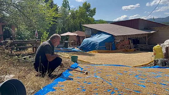 On iki bin yıllık siyezin hasadını tamamlayan çiftçilerin bulgur yapım mesaisi başladı