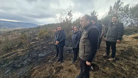 Orman Bölge Müdürü Bayraktaroğlu çalışmaları inceledi