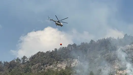 Orman yangınında alevler yeniden etkili olmaya başladı