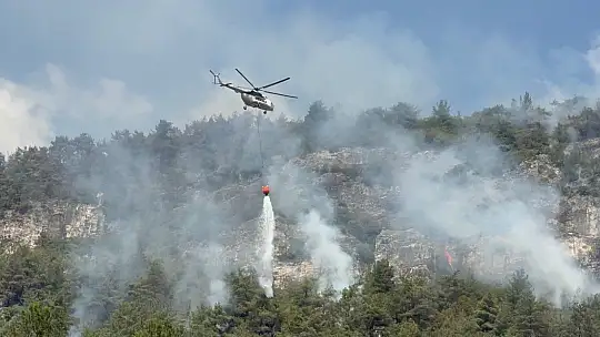 Orman yangınında alevler yeniden etkili olmaya başladı