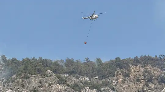 Orman yangınında alevler yeniden etkili olmaya başladı
