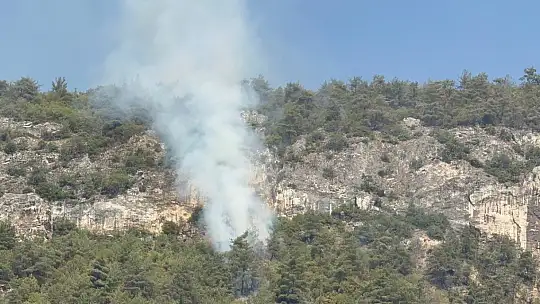 Orman yangınında alevler yeniden etkili olmaya başladı